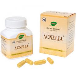 Jamu IBOE Acnelia 30 kapsul